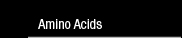 Amino Acids